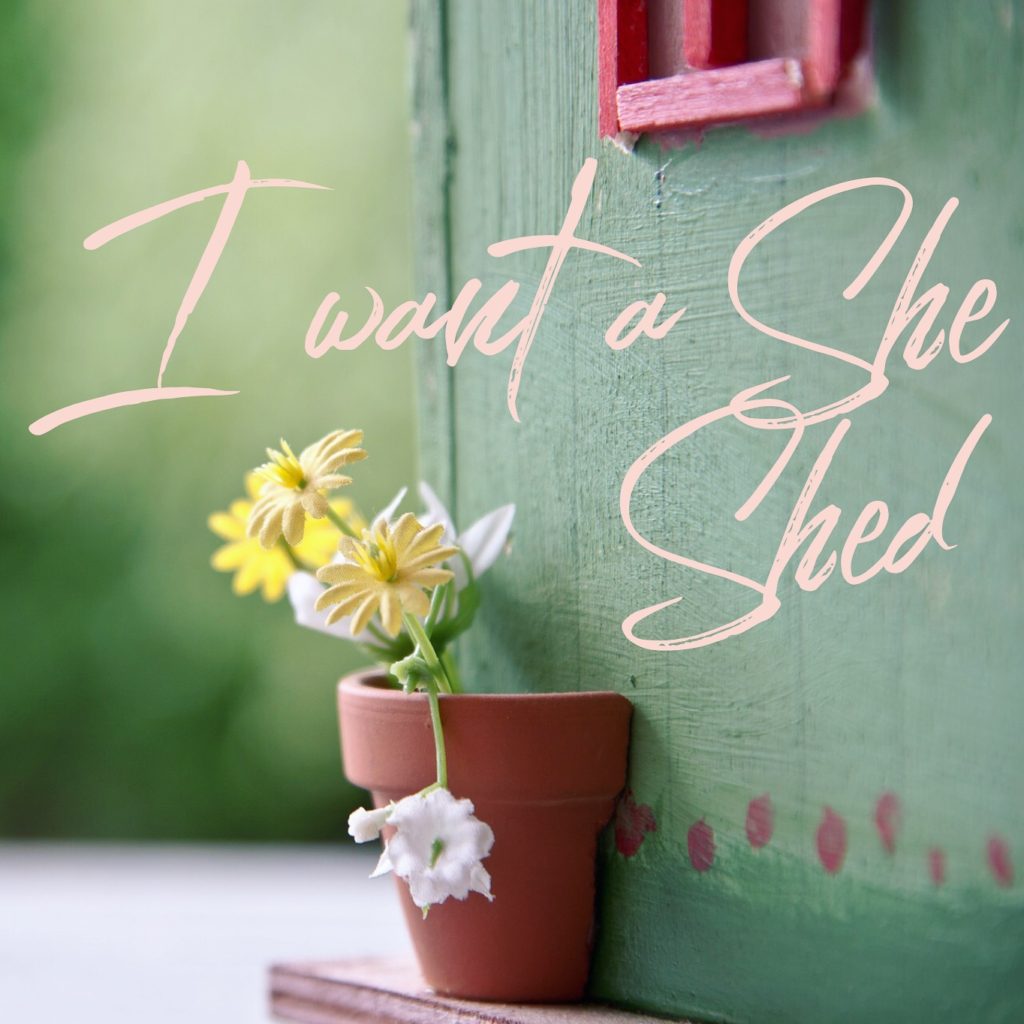 rachel carter images she shed