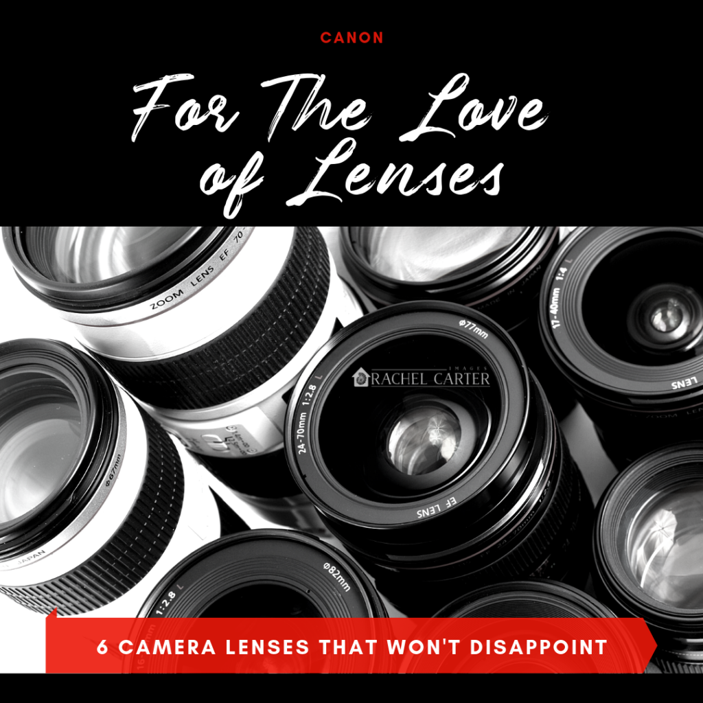 For The love of lenses - Camera Lenses that Won't Disappoint - Rachel Carter Images