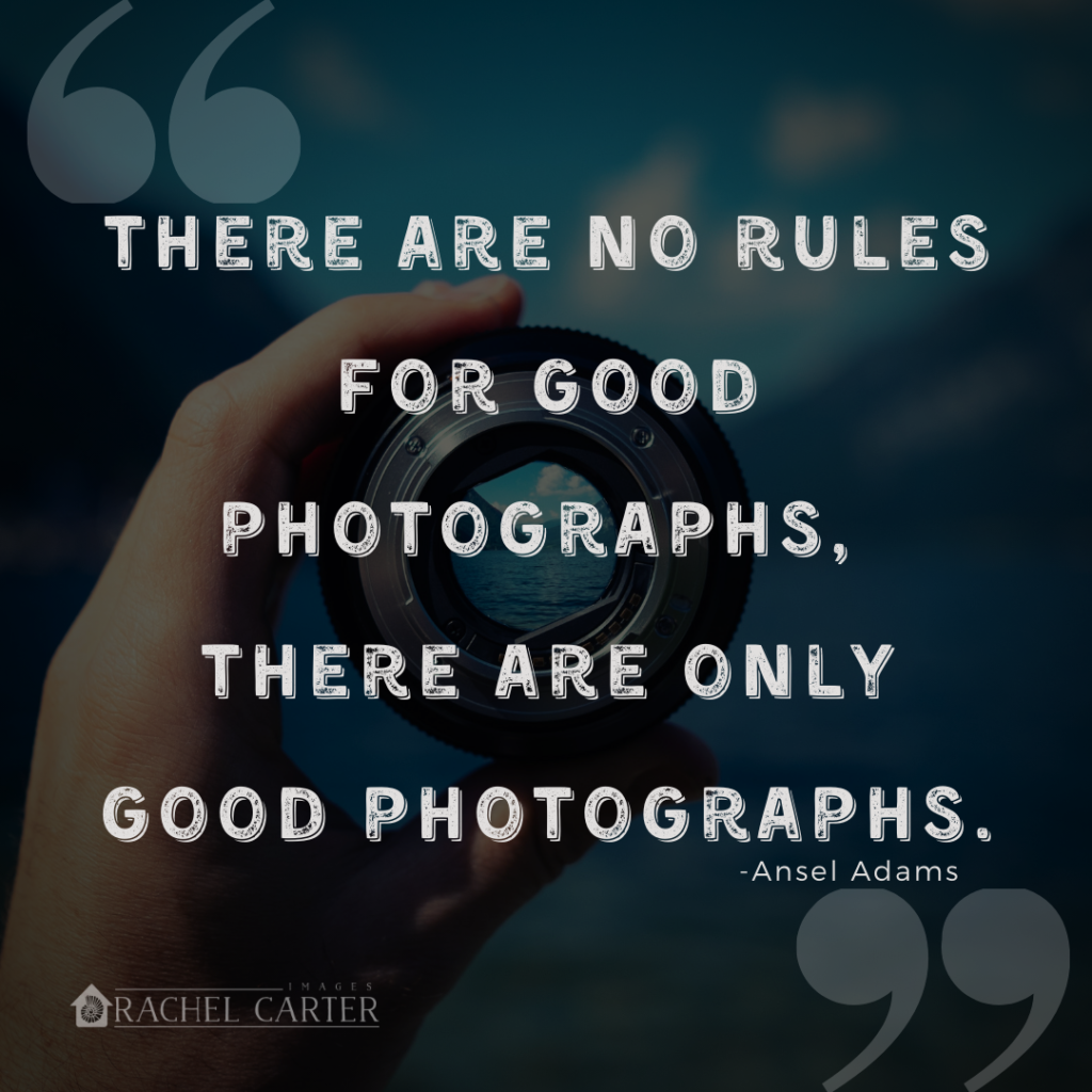 There are no rules for good photographs, there are only good photographs. (Ansel Adams)