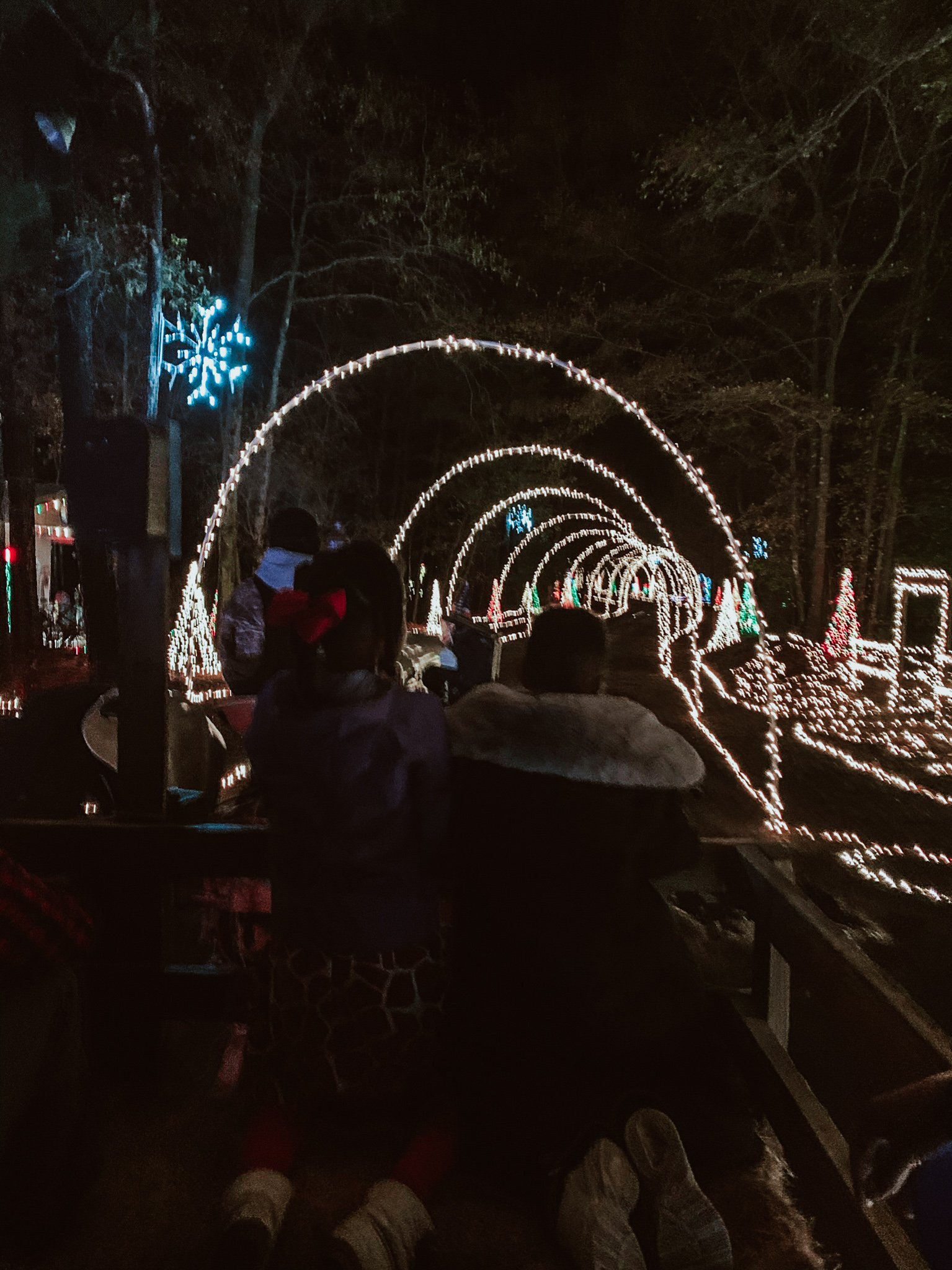 Mike's Farm Christmas Light Show - RCI Plus Topsail